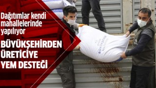 Büyükşehirden üreticiye yem desteği