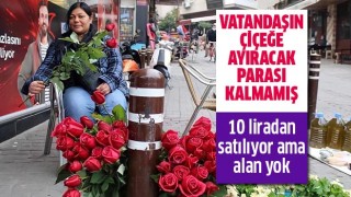 Çiçekçi Demirdelen: “Bakan çok alan yok”