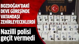 Deve güreşi öncesi bol miktarda sahte alkol ele geçirildi