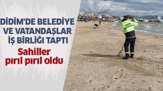 Didim'de belediye ve vatandaşların iş birliğiyle sahiller pırıl pırıl