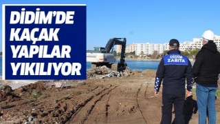 Didim’de kaçak yapılar yıkılıyor