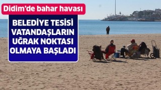 Doğuda kara kış Didim'de bahar