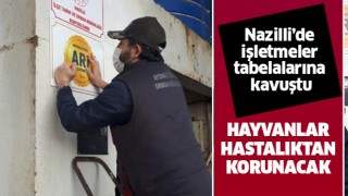 Nazilli'de işletmeler tabelalarına kavuştu