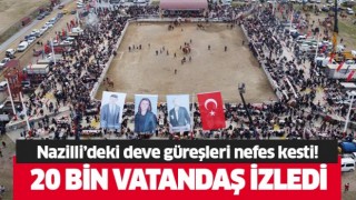 Nazilli'deki deve güreşi festivali nefes kesti!