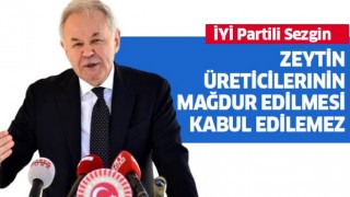 Aydın Sezgin: Zeytin üreticilerinin mağdur edilmesi kabul edilemez