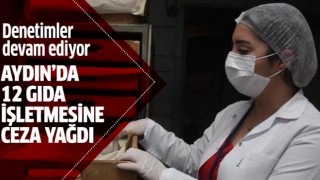 Aydın'da 12 gıda işletmesine ceza uygulandı