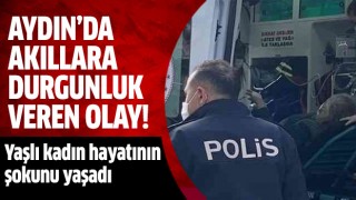 Aydın'da akıllara durgunluk veren olay!