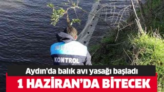 Aydın'da balık avı yasağı başladı