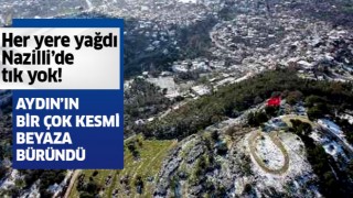 Aydın'da birçok kesim beyaza büründü