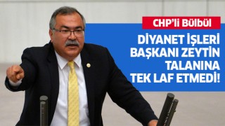 CHP'li Bülbül: Diyanet işleri başkanı zeytin talanına tek laf etmedi!