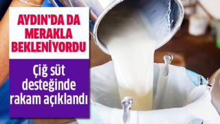 Çiğ süt desteğinde rakam açıklandı