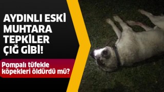 Eski muhtar köpekleri öldürdü mü?