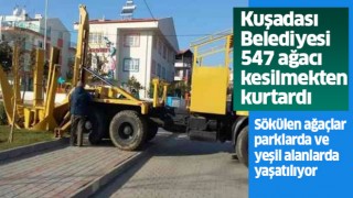 Kuşadası Belediyesi 547 ağacı kesilmekten kurtardı