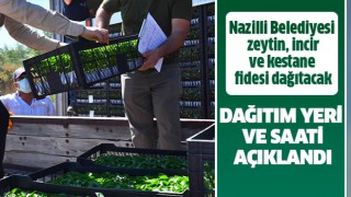 Nazilli Belediyesi yarın fide dağıtımı yapacak!