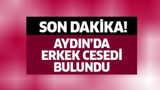 Aydın'da erkek cesedi bulundu