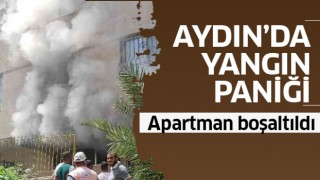 Aydın'da yangın paniği!