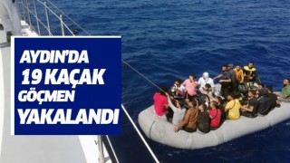 Aydın'da 19 kaçak göçmen yakalandı