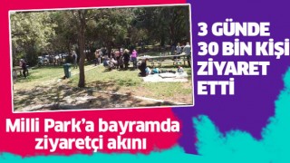 Kuşadası Milli Parkı'na ziyaretçi akını