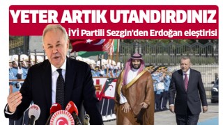 Aydın Sezgin’den Erdoğan’a Veliaht Prens eleştirisi!