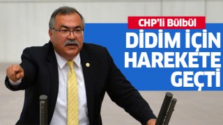 CHP'li Bülbül Didim balık çiftlikleri için harekete geçti