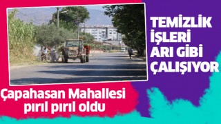 Çapahasan Mahallesi'nde sokaklar pırıl pırıl