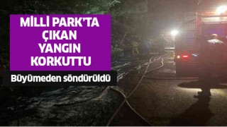 Milli Park'ta yangın çıktı