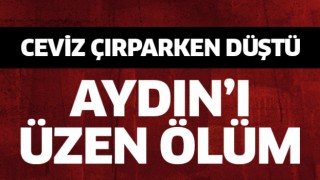 Aydın'ı üzen ölüm!