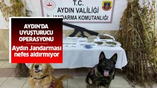 Aydın'da uyuşturucu operasyonu: 26 gözaltı