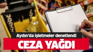 Aydın'da 22 işletme cezadan kaçamadı