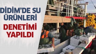 Didim'de su ürünleri denetimi yapıldı