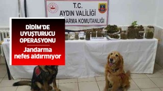 Didim'de uyuşturucu operasyonu!