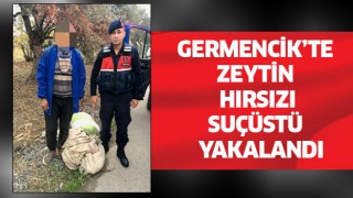 Germencik'te zeytin hırsızı suçüstü yakalandı