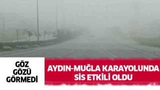 Aydın-Muğla karayolunda sis etkili oldu