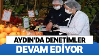 Aydın'da 22 gıda işletmesine 526 bin lira ceza kesildi
