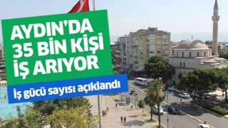 Aydın'da 35 bin 431 kişi iş arıyor