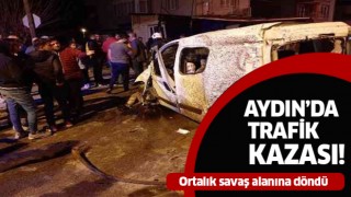 Aydın'da araç işyerine daldı