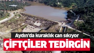 Aydın’da hava sıcaklıkları çiftçiyi tedirgin ediyor