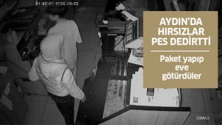 Aydın'da hırsızlar pes dedirtti