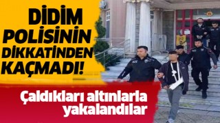 Didim'de villa hırsızları yakayı ele verdi