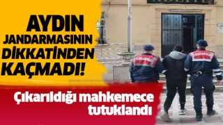 Jandarma Germencik'teki hırsızlığı aydınlattı