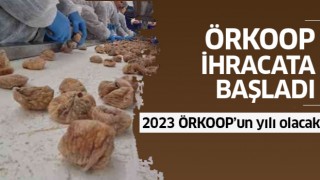 ÖRKOOP ilk ihracatını incirle yaptı