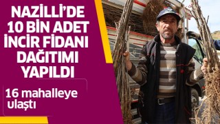 Nazilli'de 16 mahallede 10 bin incir fidanı dağıtıldı