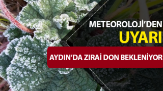 Aydın’a zirai don uyarısı