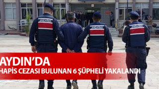 Aydın’da aranan 6 şahıs, jandarma tarafından yakalandı