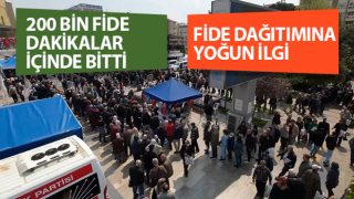 Aydın’da fide dağıtımına yoğun ilgi