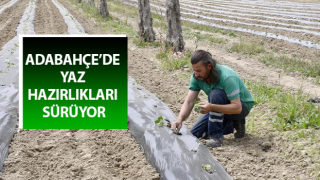 Adabahçe’ye yaz bereketiyle geldi