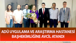 ADÜ Uygulama ve Araştırma Hastanesi başhekimliğine Avcil atandı