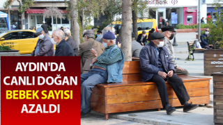 Aydın'da doğum oranları azaldı