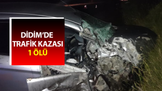 Aydın'da trafik kazası: 1 ölü