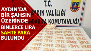 Binlerce lira sahte para ile yakalandı